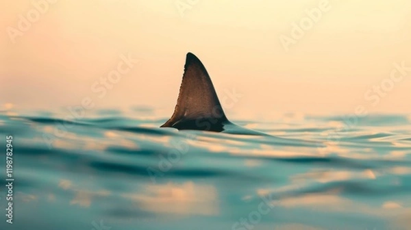 Fototapeta Shark Fin Breaks Surface, Signaling Predator's Presence in Water