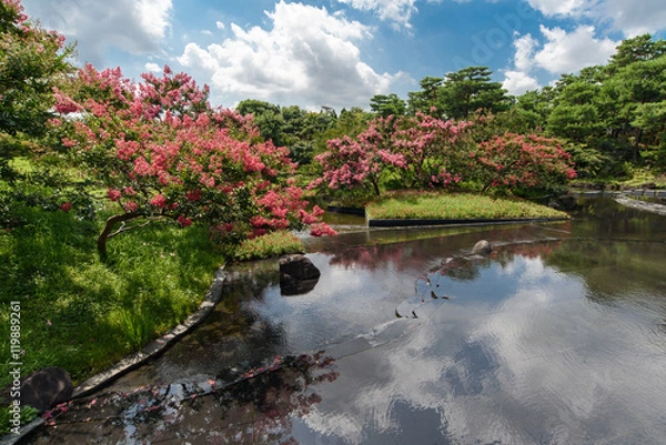 Obraz 京都　朱雀の庭 