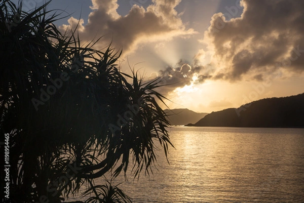 Fototapeta 夜明けの龍郷湾とアダン