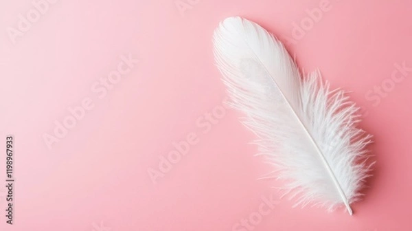 Fototapeta Detailed view of a soft white feather positioned in the lower right corner on a smooth pastel pink background with ample space for text.