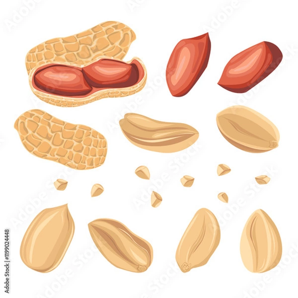 Fototapeta Set peanuts in shell, peeled peanut halves, crushed peanuts. For design projects, food packaging, advertising, or creating educational materials, ideal for use in food-related branding