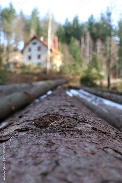 Obraz Drewno w górach 