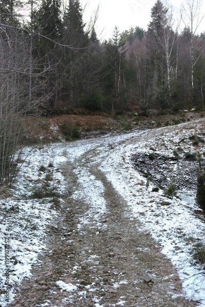 Obraz river in winter