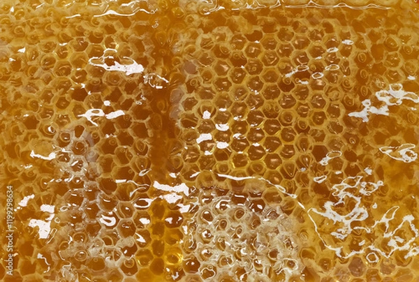 Obraz honey flowing over natural honeycomb