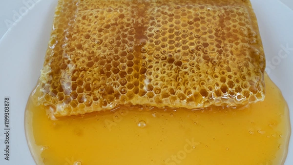 Obraz honey flowing over natural honeycomb