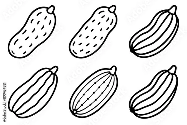 Obraz Cucumber Vector Line Art Bundle