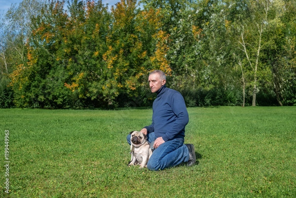 Obraz An elderly man walks in the park with his pug dog in the park in summer. Selective focus..