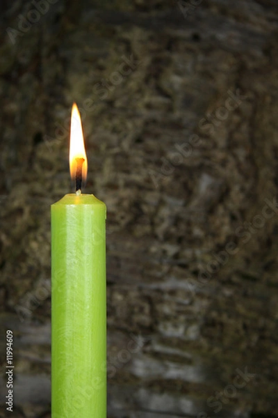 Obraz grüne Kerze vor Baumrinde