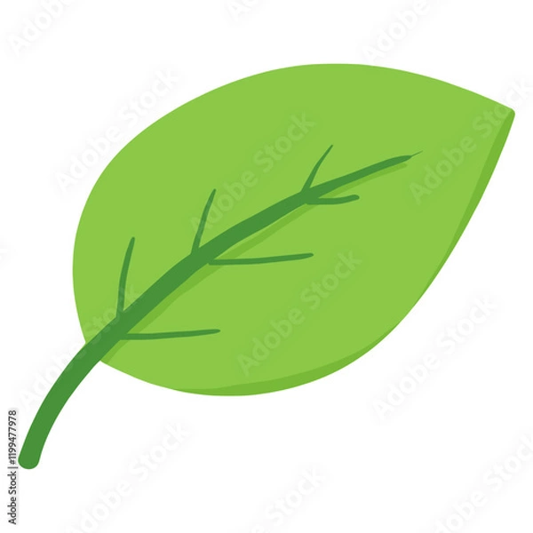 Obraz Green leaf illustration nature simple vector