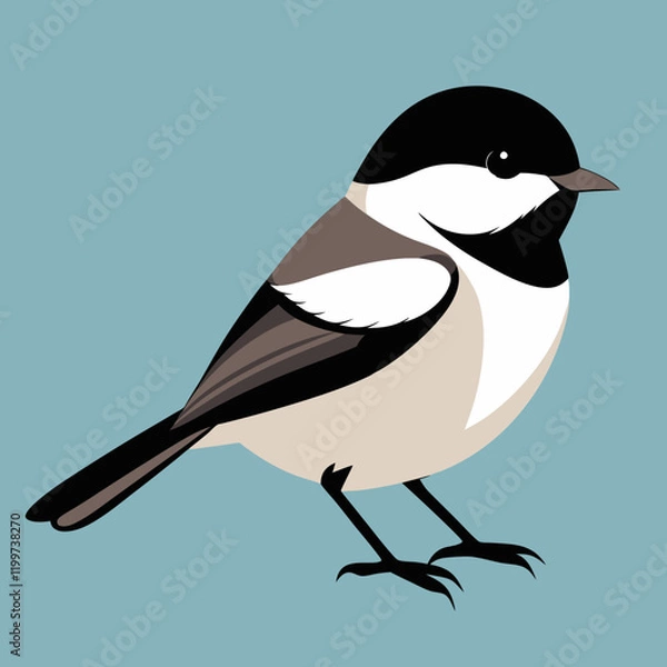 Obraz chickadee on branch