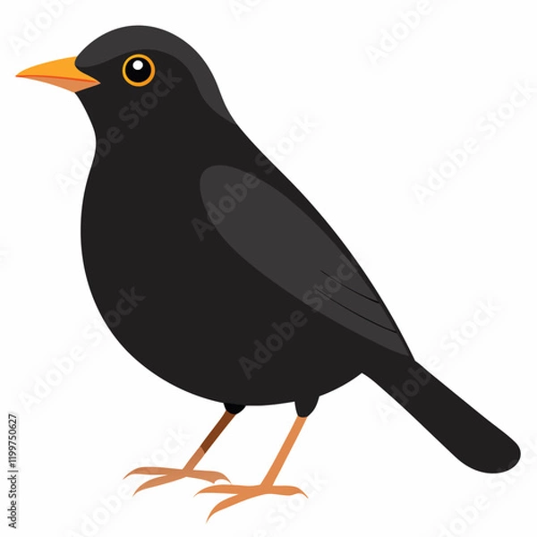 Obraz common blackbird cartoon vector