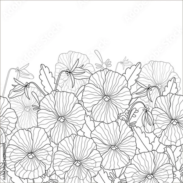 Fototapeta Floral pattern of beautiful pansies. Black and white pattern can be used for coloring.