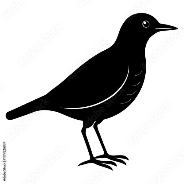 Fototapeta bird on a branch