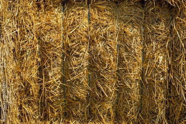 Obraz Close up of a straw bales background.Straw bale texture.