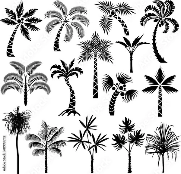 Fototapeta Palm series