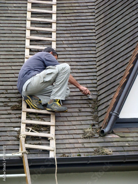 Obraz Couvreur-05444