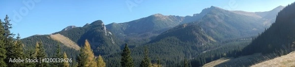 Fototapeta Panorama with cable car route to Kasprowy Wierch, Kasper Peak in Polish Western Tatras, Tatra Mountains, green coniferous forests, glades with beige grasses on autumn and sunny blue sky.