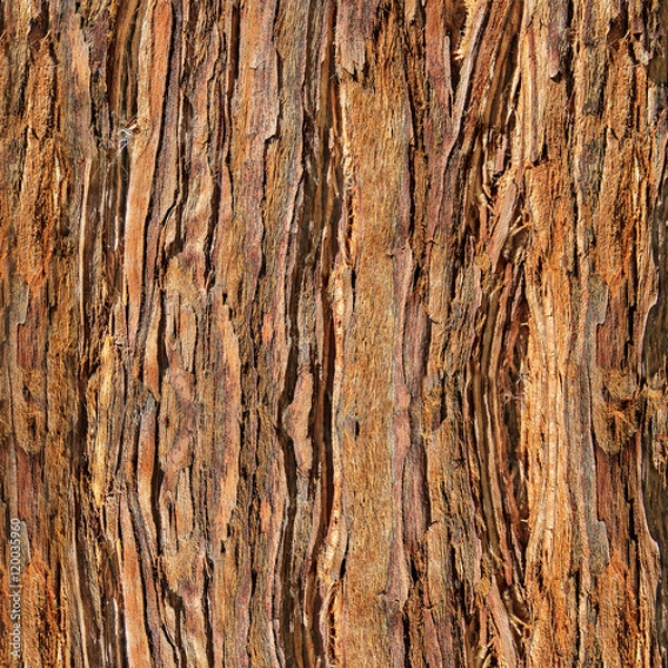 Obraz Close Up of Redwood Bark