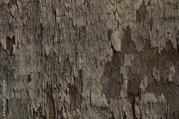 Obraz chipped paint over wood plank
