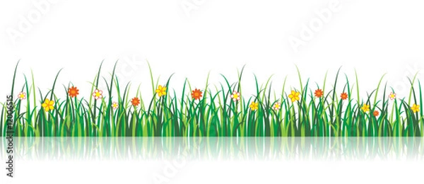 Obraz Vector Grass Illustration With flowers