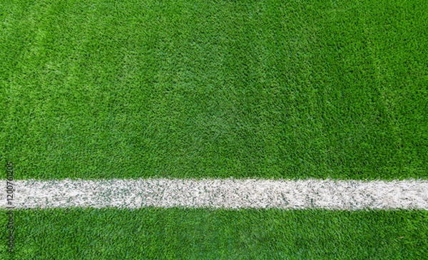 Obraz White line of soccer field