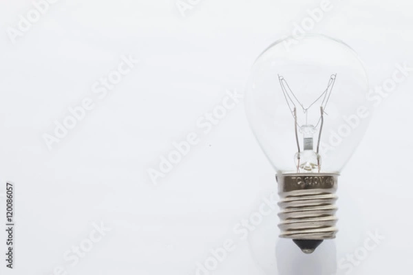 Fototapeta 電球