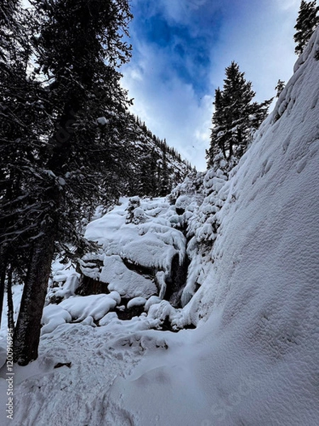 Fototapeta The Snow-Covered Beauty of the Lake Agnes Trail in Banff National Park, Canada