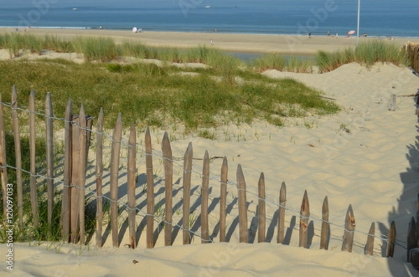 Fototapeta Protection du littoral