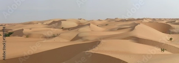 Fototapeta wydmy chinguetti