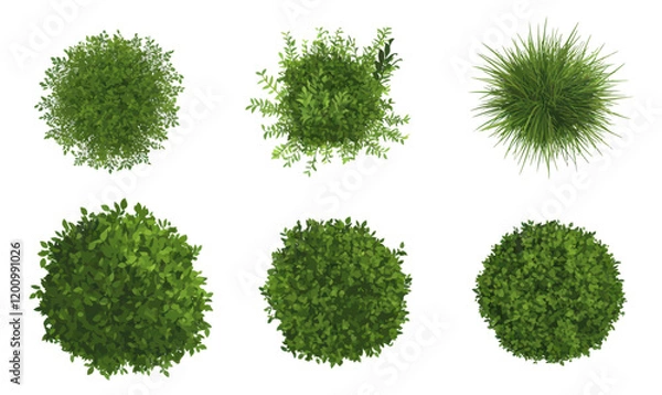 Fototapeta Top View Grass Bushes Set Isolated on White Background in Minimalist Vector Style
