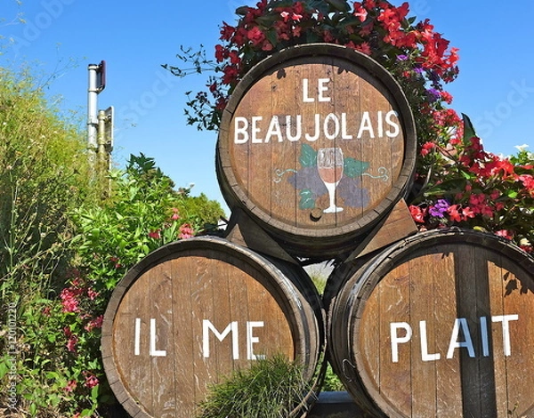 Obraz le beaujolais