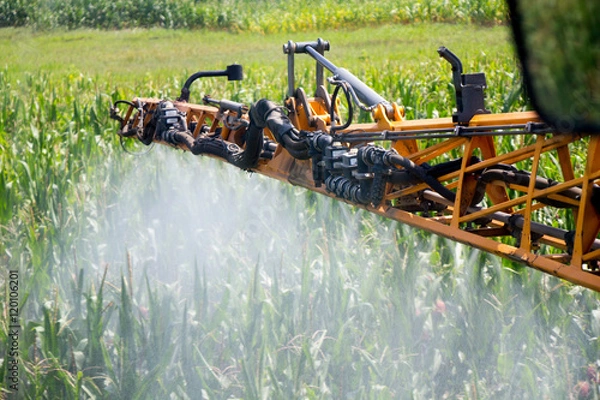 Obraz Corn Spraying
