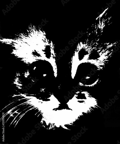 Fototapeta Distressed black and white portrait of cat. Overlay textured. Curious funny small kitten. Etching engraved, hatching effect. Lovely pets. Portrait, Domestic cat.