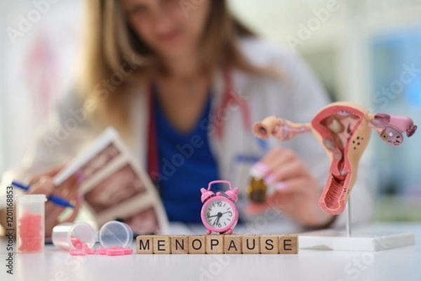 Obraz A knowledgeable healthcare professional explores menopause complexities using various informative models and resources