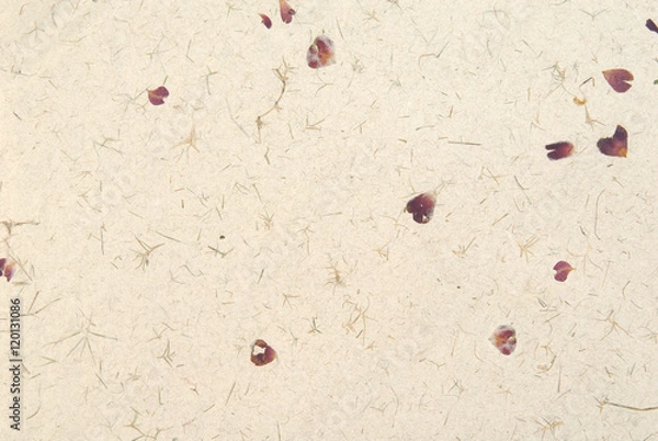 Obraz Hand laid speckled paper with rose petals.