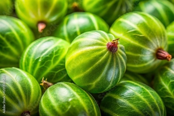 Fototapeta Minimalist Gooseberry Texture: Close-up of Ripe Green Berries