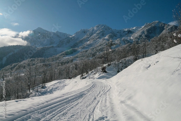 Obraz A snowy day at a ski resort in Sochi, Russia.