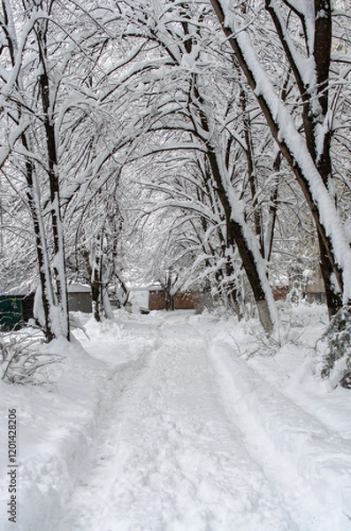 Obraz snow covered road
