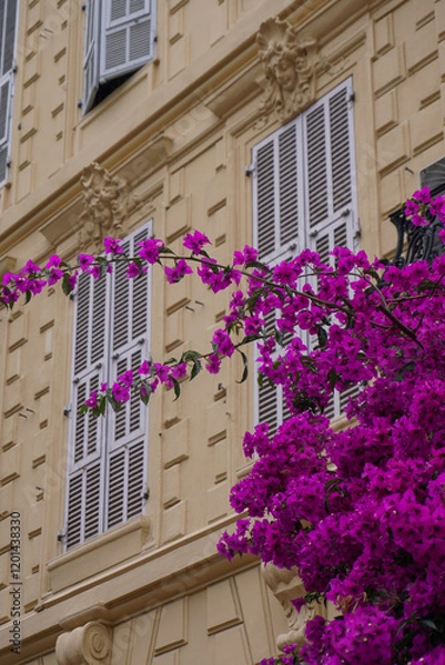 Obraz windows with flowers
