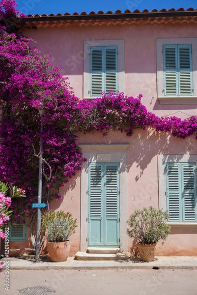 Obraz house with flowers