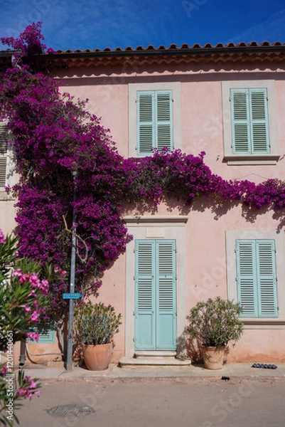 Obraz old house with flowers