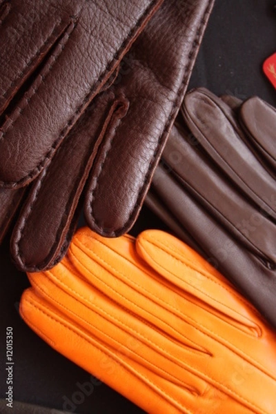 Obraz guantes de piel