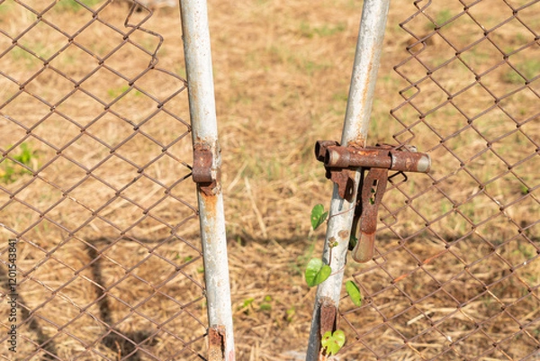 Fototapeta Photo of an old gate that is broken and cannot be locked.