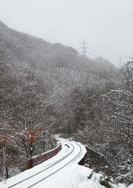 Obraz 冬の只見線