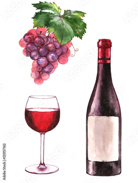 Fototapeta Hand-drawn watercolor illustration of the wine bottle, grape and one glass of red wine. Drawing isolated on the white background