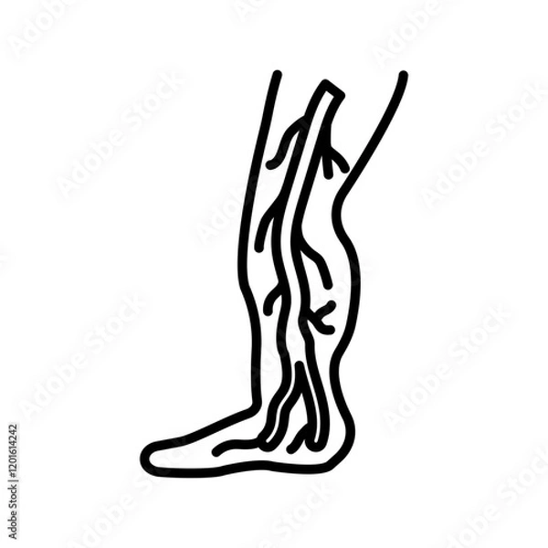 Fototapeta Anterior Tibial Vein Outline Icon, Vector illustration