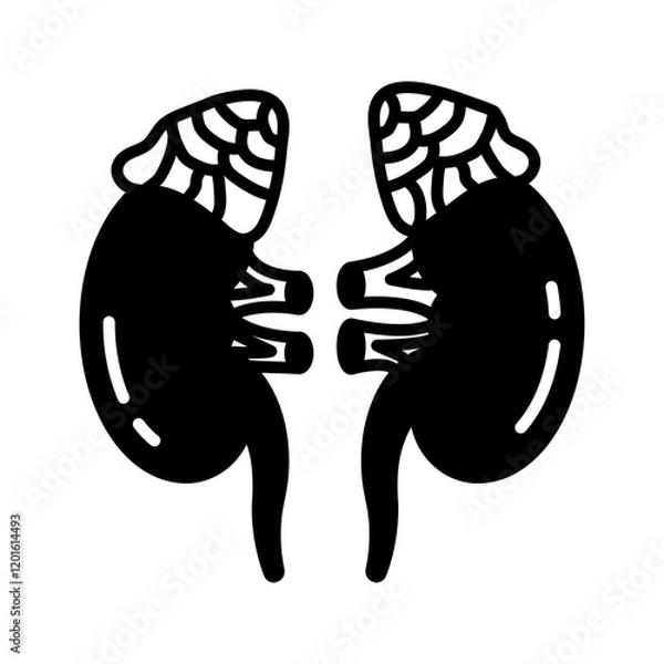 Fototapeta Adrenal Gland Glyph Icon, Vector illustration
