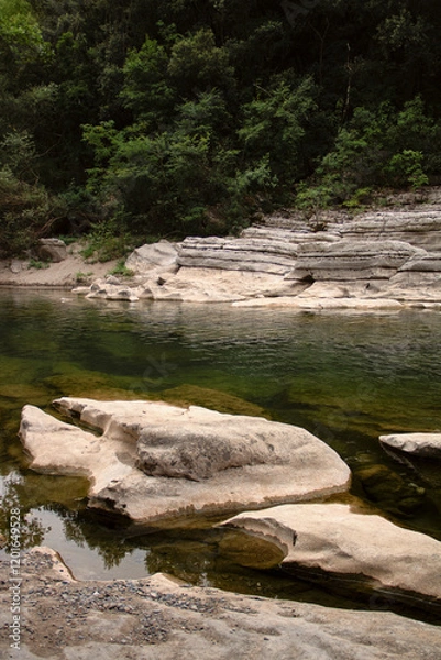 Fototapeta Rivière a pierre blanche