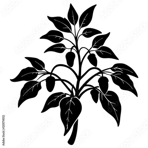 Fototapeta branch of a tree