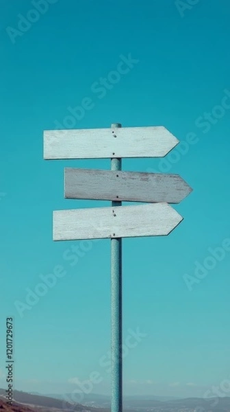 Fototapeta Versatile Blank Multi-Arrow Signpost with Clean Boards under Clear Blue Sky - Professional Directional Concept Design